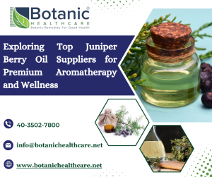 Exploring Top Juniper Berry Oil Suppliers for Premium Aromatherapy and Wellness