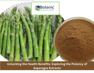 Unlocking the Health Benefits: Exploring the Potency of Asparagus Extracts